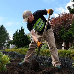 Soil Analysis | Earthworks Tree Service
