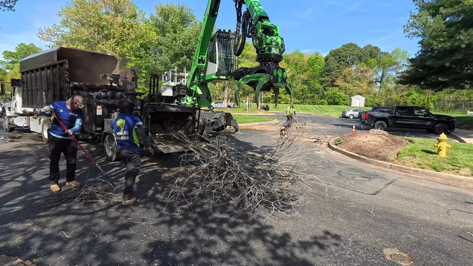 Tree Service in Stanwood, WA for pruning, removal, stump grinding, and emergency tree care