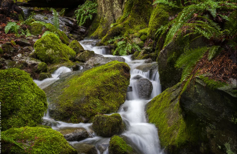 1. Water cascading over rocks at Whatcom Falls in Bellingham, WA
